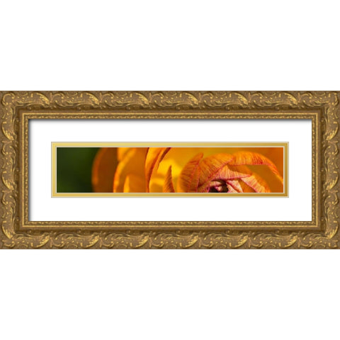 Flower Slice Orange I Gold Ornate Wood Framed Art Print with Double Matting by Simons