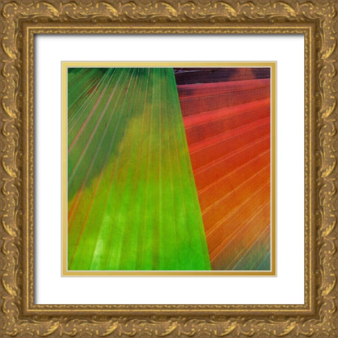 Fondly II Gold Ornate Wood Framed Art Print with Double Matting by Simons