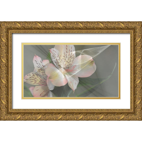 Illusion in Pink Gold Ornate Wood Framed Art Print with Double Matting by Simons