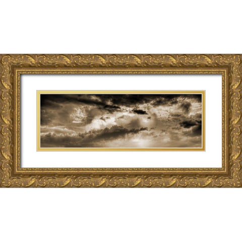 Bronz Sky Gold Ornate Wood Framed Art Print with Double Matting by Phillip, Jamie