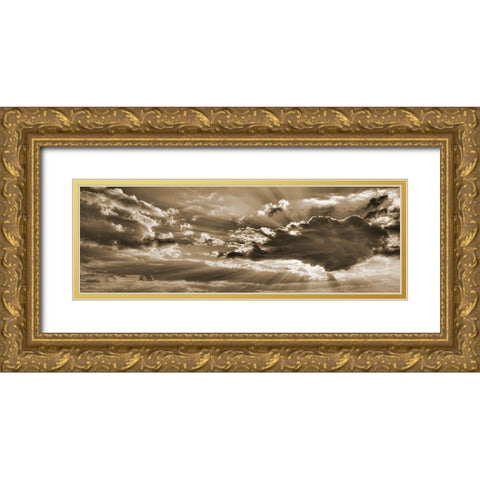 Bronz Sky 2 Gold Ornate Wood Framed Art Print with Double Matting by Phillip, Jamie