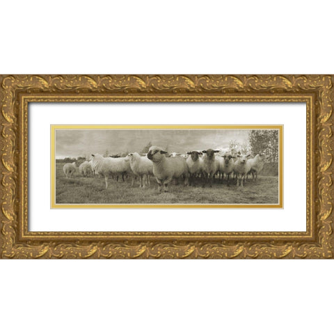 Pasture Graze 2 Gold Ornate Wood Framed Art Print with Double Matting by Phillip, Jamie