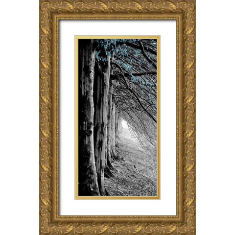 BW Blue pop Gold Ornate Wood Framed Art Print with Double Matting by Phillip, Jamie