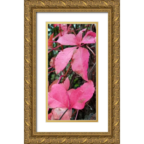 Blending Bloom 1 Gold Ornate Wood Framed Art Print with Double Matting by Phillip, Jamie