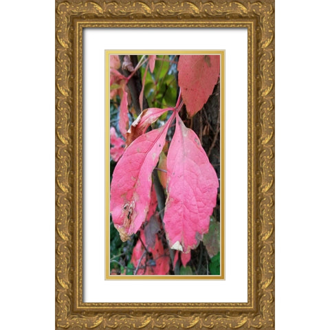 Blending Bloom 2 Gold Ornate Wood Framed Art Print with Double Matting by Phillip, Jamie
