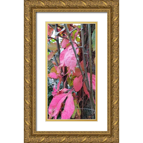 Blending Bloom 3 Gold Ornate Wood Framed Art Print with Double Matting by Phillip, Jamie