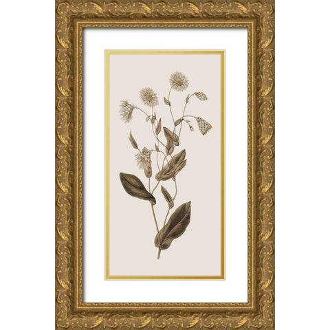 Toned Botanical Gold Ornate Wood Framed Art Print with Double Matting by Phillip, Jamie