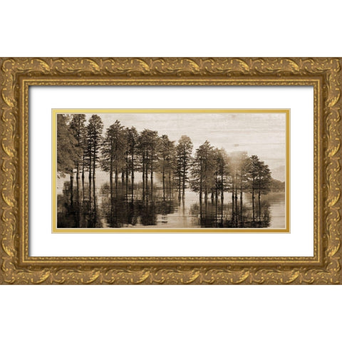 Take Me To The Bayou Gold Ornate Wood Framed Art Print with Double Matting by Phillip, Jamie