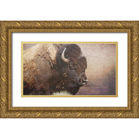 Wild Bison Gold Ornate Wood Framed Art Print with Double Matting by Phillip, Jamie