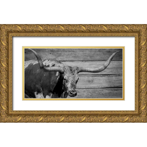 Long Horn Bull Gold Ornate Wood Framed Art Print with Double Matting by Phillip, Jamie