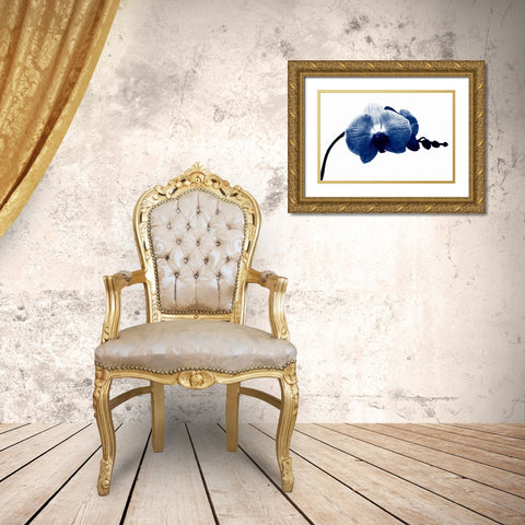 Super Blue Orchid Gold Ornate Wood Framed Art Print with Double Matting by Phillip, Jamie
