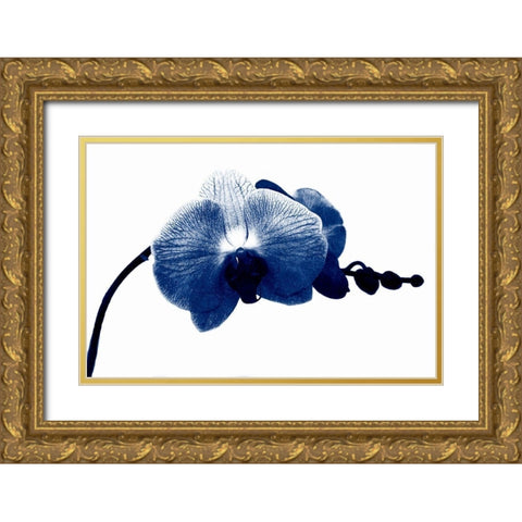 Super Blue Orchid Gold Ornate Wood Framed Art Print with Double Matting by Phillip, Jamie