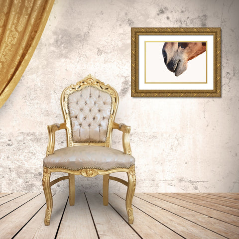 Horse Gold Ornate Wood Framed Art Print with Double Matting by Phillip, Jamie