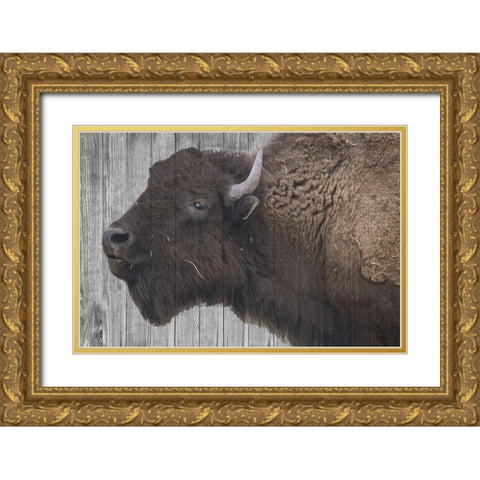Buffalo Alpha Gold Ornate Wood Framed Art Print with Double Matting by Phillip, Jamie