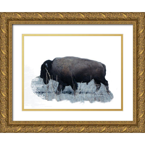 Grazing Buffalo Gold Ornate Wood Framed Art Print with Double Matting by Phillip, Jamie