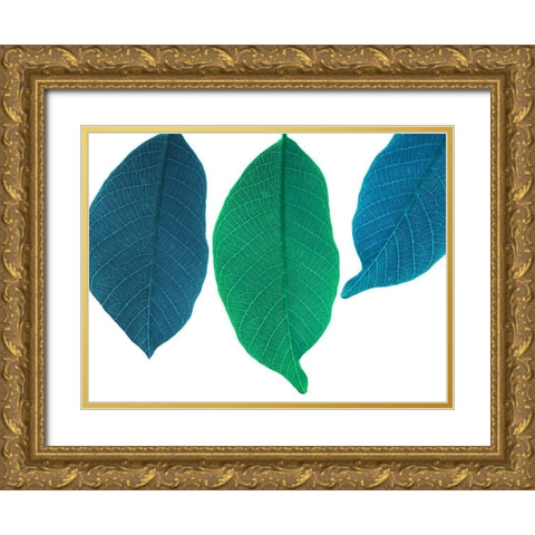 Xrayed Gold Ornate Wood Framed Art Print with Double Matting by Phillip, Jamie