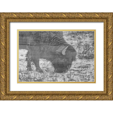 American Buffalo Gold Ornate Wood Framed Art Print with Double Matting by Phillip, Jamie