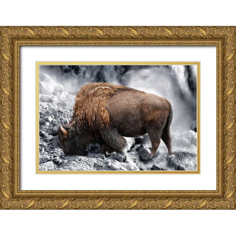 Bison Season 3 Gold Ornate Wood Framed Art Print with Double Matting by Phillip, Jamie