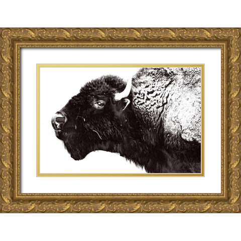 Bison Season 7 Gold Ornate Wood Framed Art Print with Double Matting by Phillip, Jamie