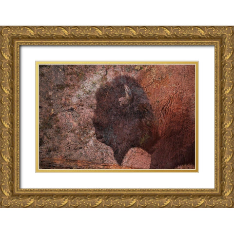 Brown Buffalo 2 Gold Ornate Wood Framed Art Print with Double Matting by Phillip, Jamie