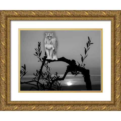 Lion In The Darkness Gold Ornate Wood Framed Art Print with Double Matting by Phillip, Jamie
