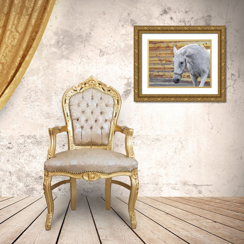 Barn Horse Gold Ornate Wood Framed Art Print with Double Matting by Phillip, Jamie
