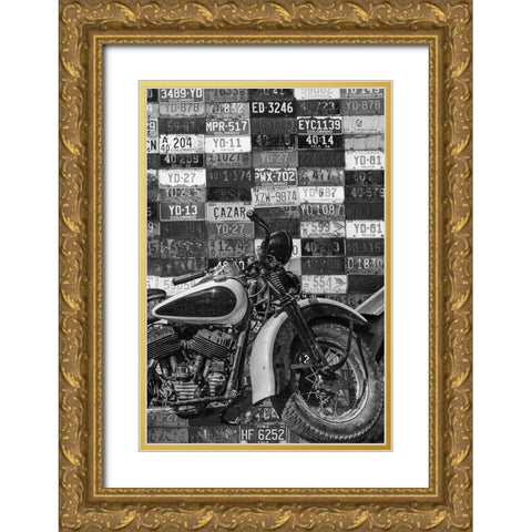 Cross Country 1 Gold Ornate Wood Framed Art Print with Double Matting by Phillip, Jamie