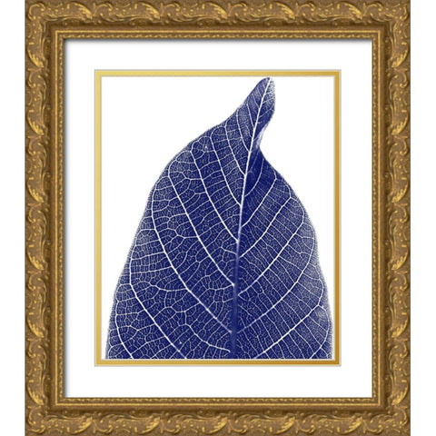 Indigo Half 1 Gold Ornate Wood Framed Art Print with Double Matting by Phillip, Jamie