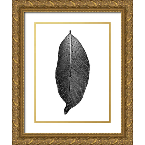 Dark Moon Glow Gold Ornate Wood Framed Art Print with Double Matting by Phillip, Jamie