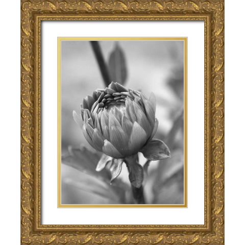 Rear View Gold Ornate Wood Framed Art Print with Double Matting by Phillip, Jamie