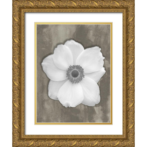 Pure White Flower Gold Ornate Wood Framed Art Print with Double Matting by Phillip, Jamie