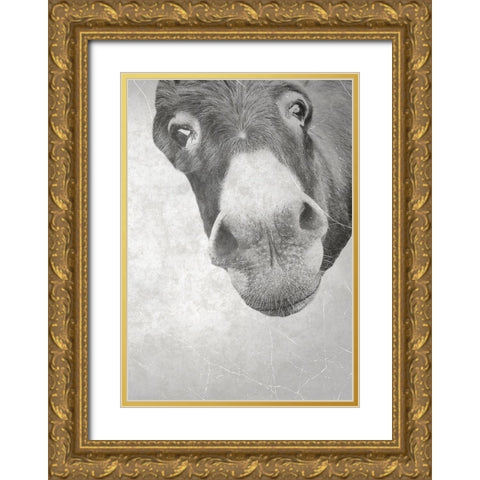 Farm Donkey Gold Ornate Wood Framed Art Print with Double Matting by Phillip, Jamie