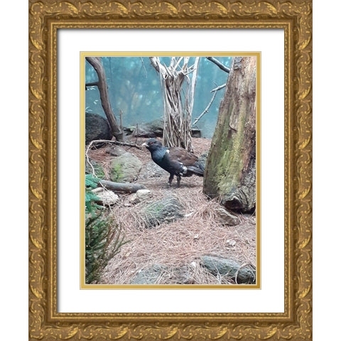 Bird Gold Ornate Wood Framed Art Print with Double Matting by Phillip, Jamie