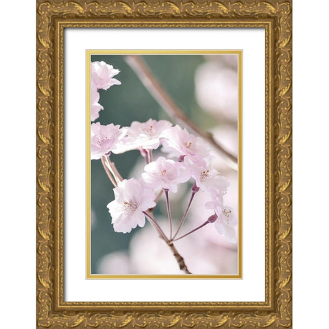 Smile Gold Ornate Wood Framed Art Print with Double Matting by Phillip, Jamie