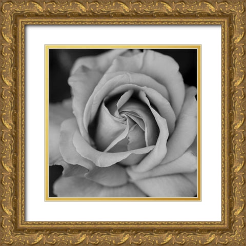 Beauty In Black Gold Ornate Wood Framed Art Print with Double Matting by Phillip, Jamie