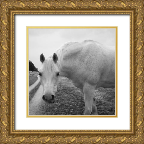 White Enchantment Gold Ornate Wood Framed Art Print with Double Matting by Phillip, Jamie