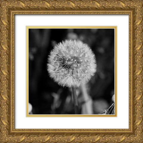 Morning Due 2 Gold Ornate Wood Framed Art Print with Double Matting by Phillip, Jamie