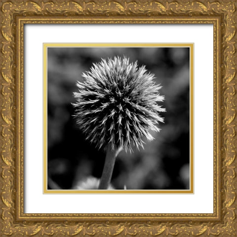 Morning Due 1 Gold Ornate Wood Framed Art Print with Double Matting by Phillip, Jamie