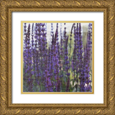 Lavender Flower Gold Ornate Wood Framed Art Print with Double Matting by Phillip, Jamie