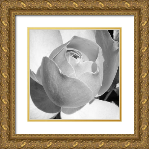 Misty Morning Rose Gold Ornate Wood Framed Art Print with Double Matting by Phillip, Jamie
