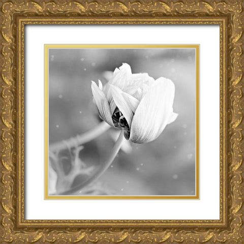 Blank Rose Gold Ornate Wood Framed Art Print with Double Matting by Phillip, Jamie