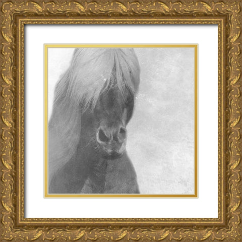Wise Pony Gold Ornate Wood Framed Art Print with Double Matting by Phillip, Jamie