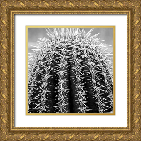 Prickly Bulb 2 Gold Ornate Wood Framed Art Print with Double Matting by Phillip, Jamie