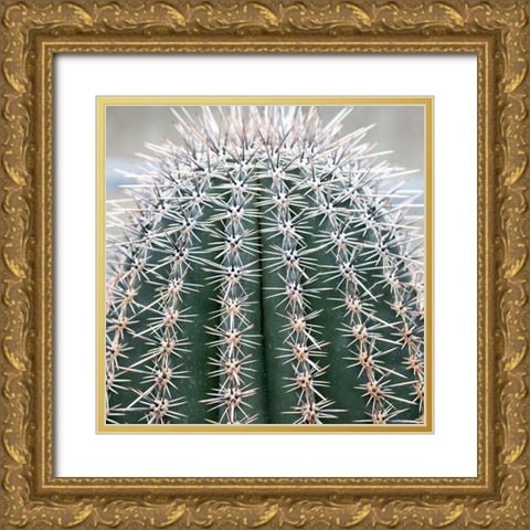 Prickly Bulb 3 Gold Ornate Wood Framed Art Print with Double Matting by Phillip, Jamie