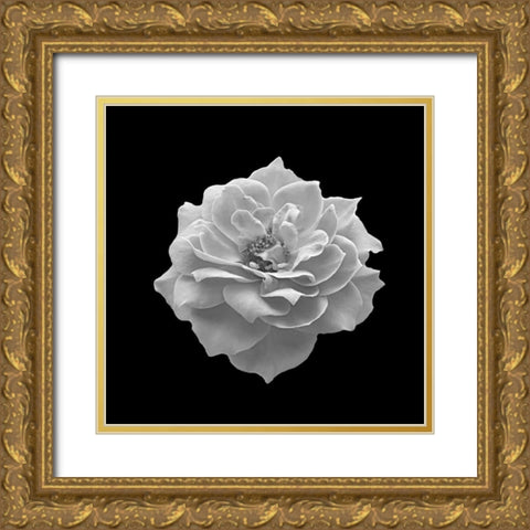 Spntain Gold Ornate Wood Framed Art Print with Double Matting by Phillip, Jamie
