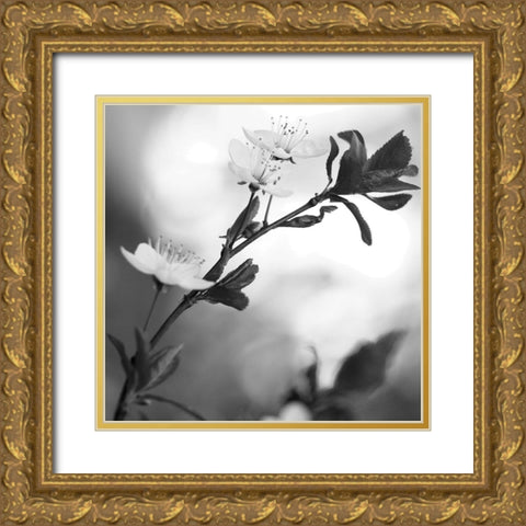 Blooming Black Gold Ornate Wood Framed Art Print with Double Matting by Phillip, Jamie