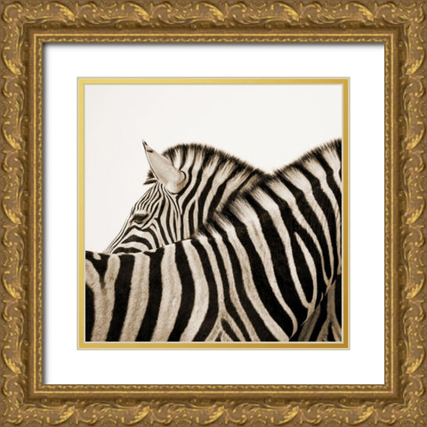 Savana Gold Ornate Wood Framed Art Print with Double Matting by Phillip, Jamie