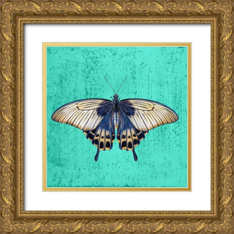 Butterfly Gold Ornate Wood Framed Art Print with Double Matting by Phillip, Jamie