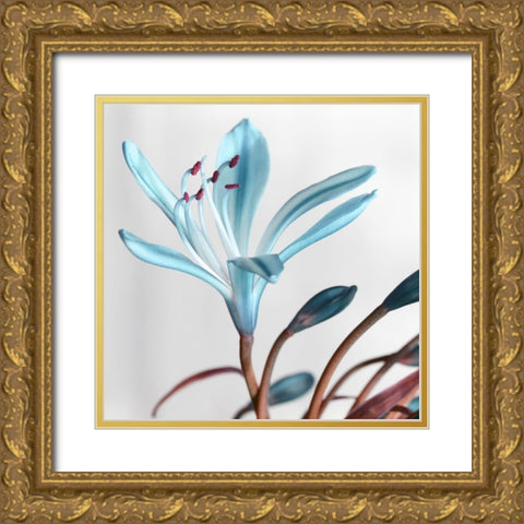 Blue Xray Gold Ornate Wood Framed Art Print with Double Matting by Phillip, Jamie