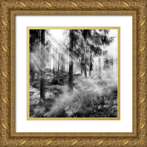 Black Forest 2 Gold Ornate Wood Framed Art Print with Double Matting by Phillip, Jamie